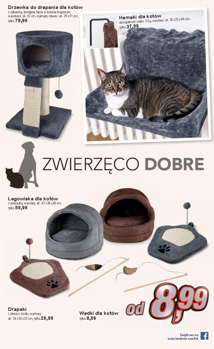 Gazetka promocyjna KiK str. 7