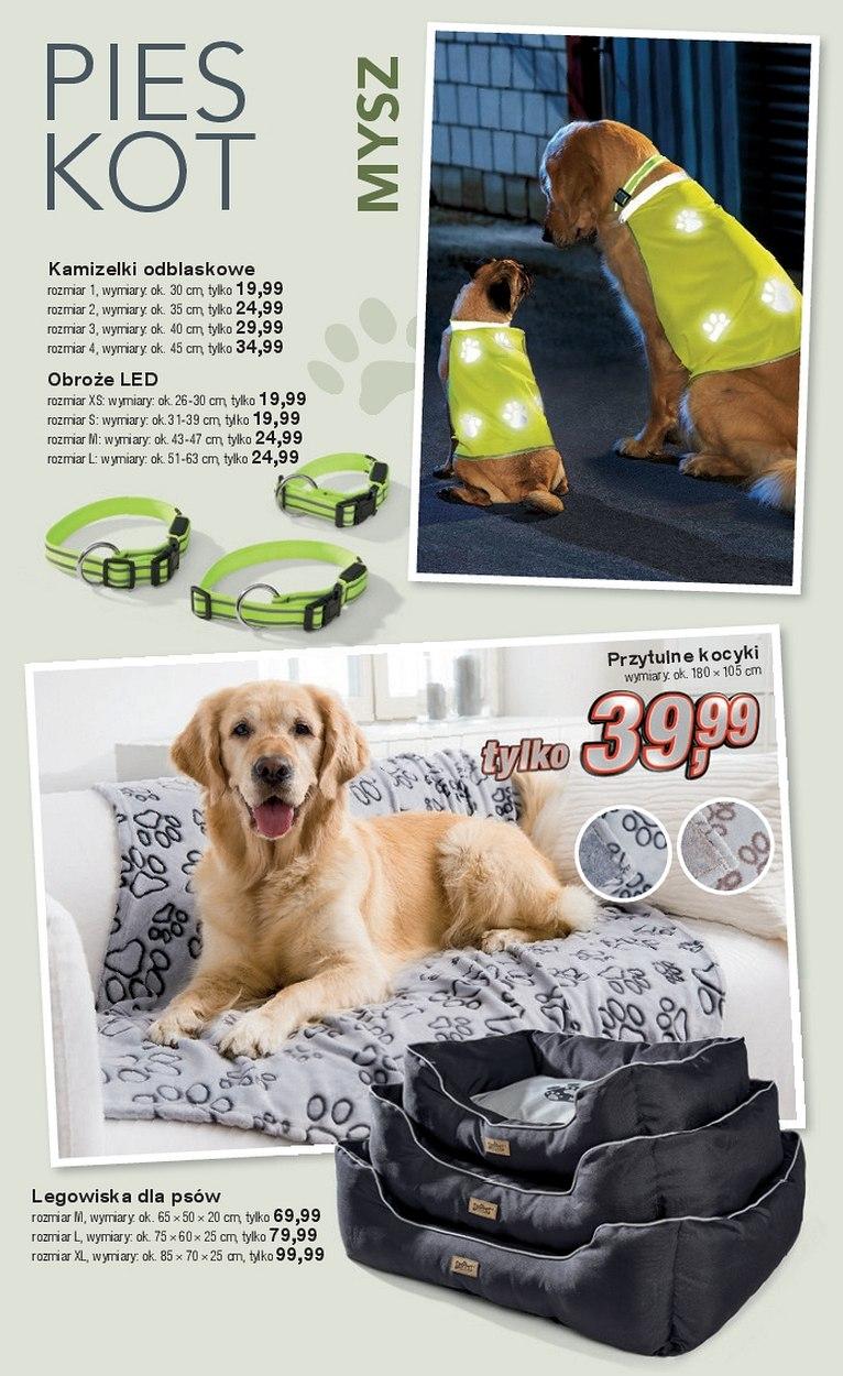 Gazetka promocyjna KiK str. 11